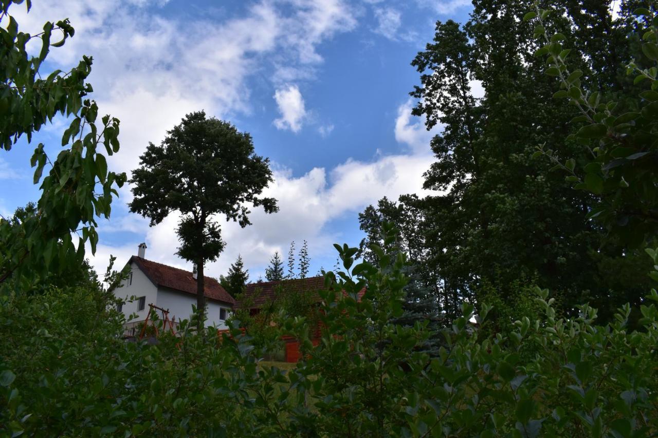 Baberius Villa Kültér fotó