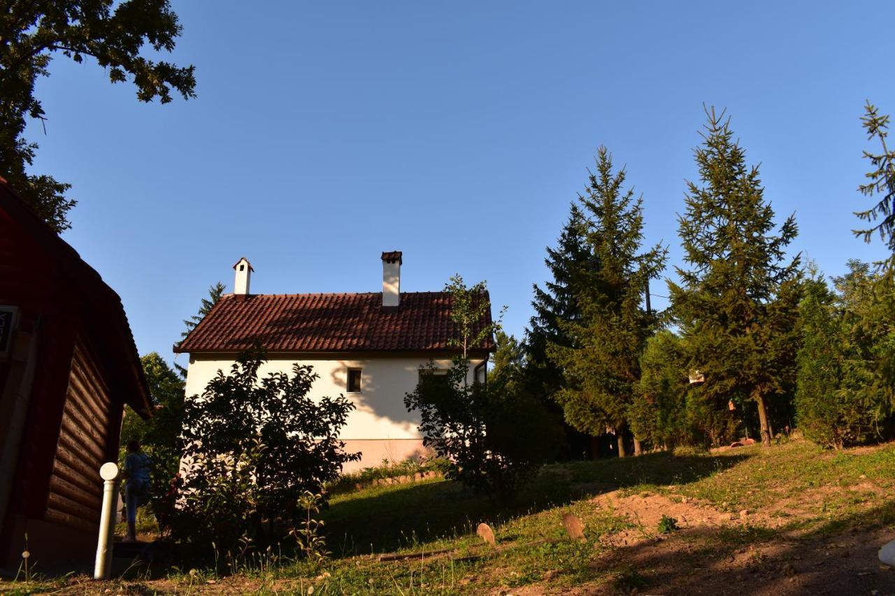 Baberius Villa Kültér fotó
