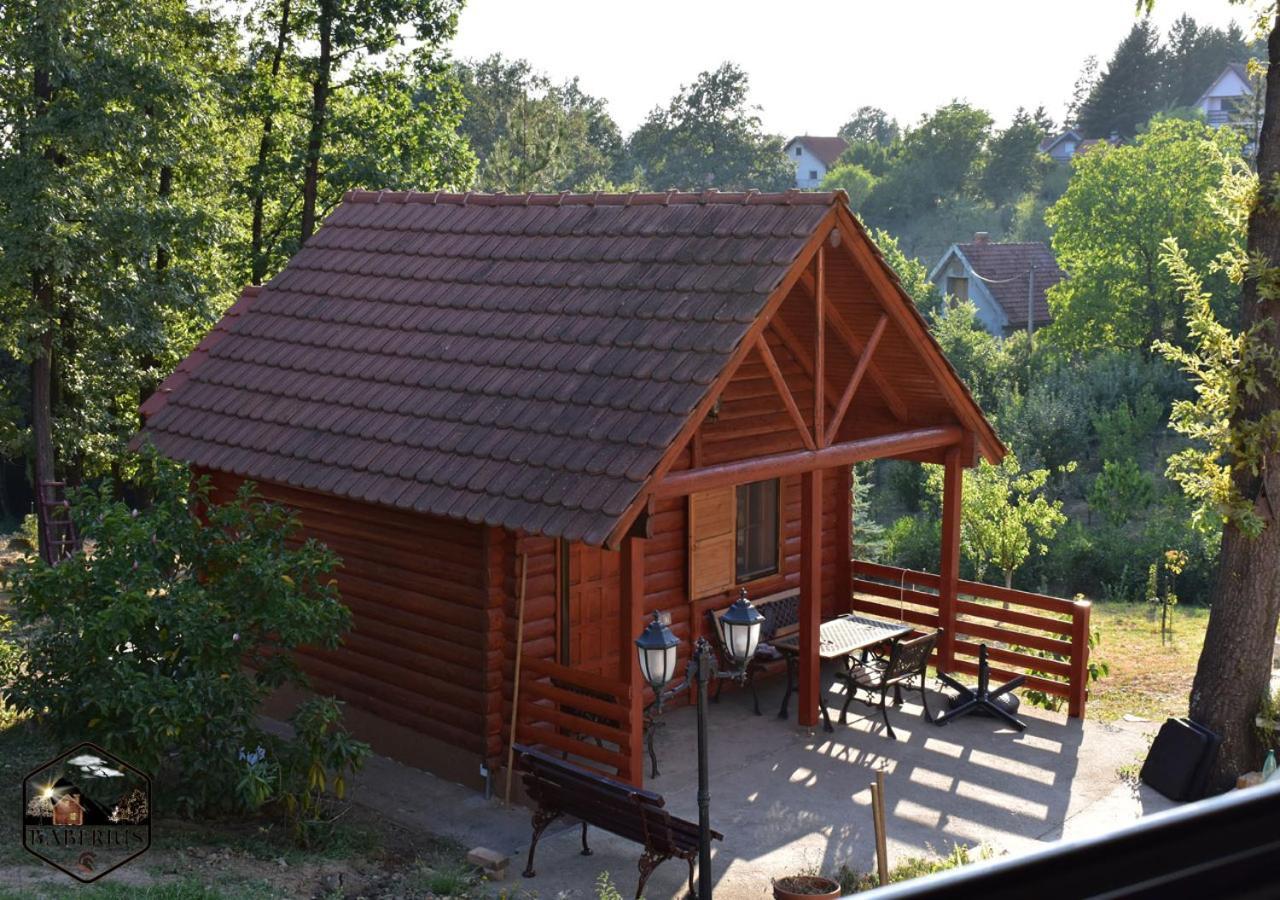 Baberius Villa Kültér fotó