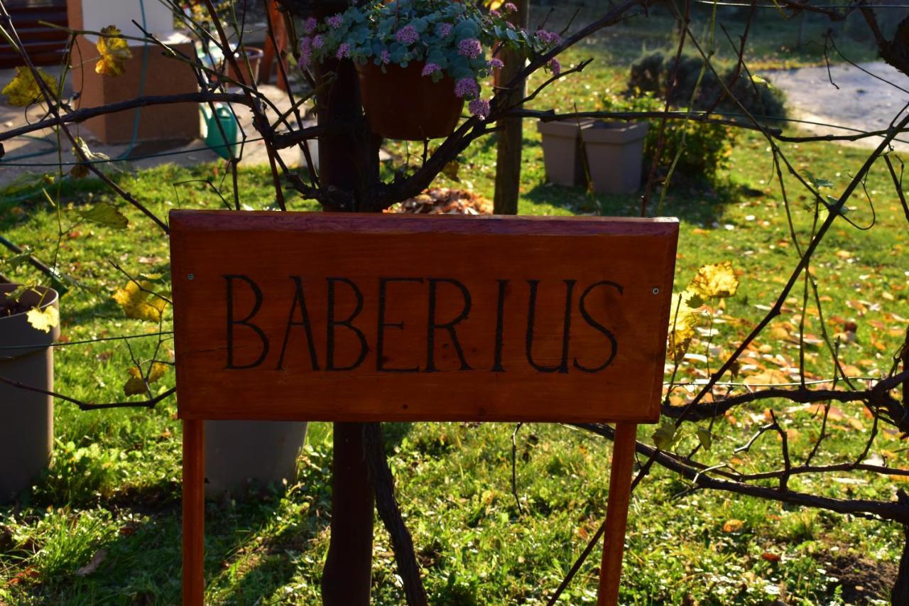Baberius Villa Kültér fotó