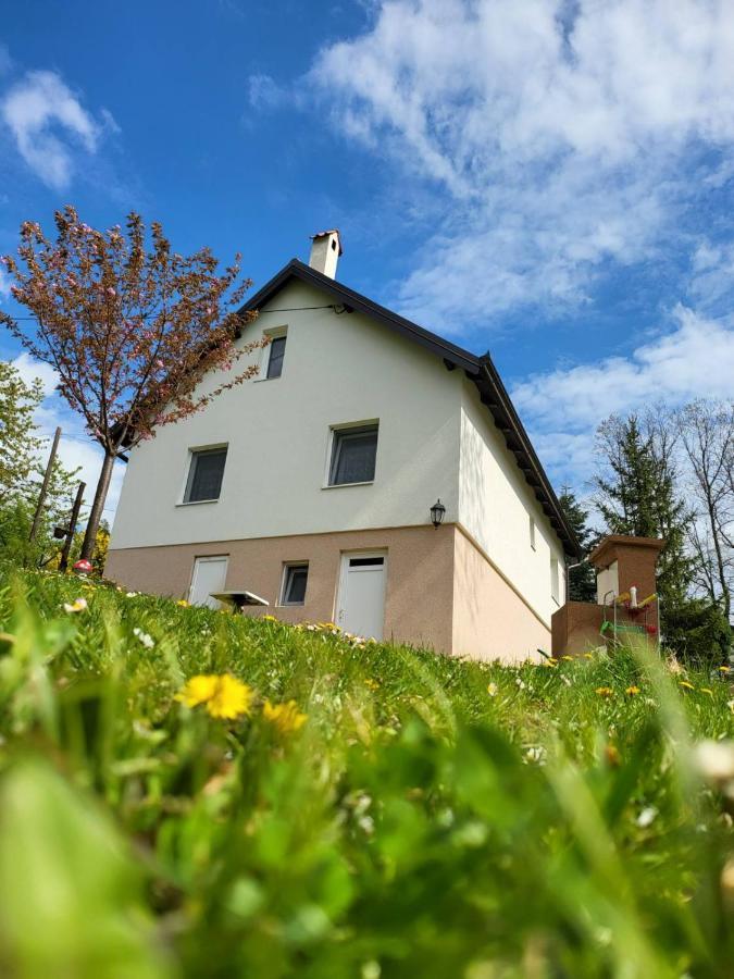 Baberius Villa Kültér fotó