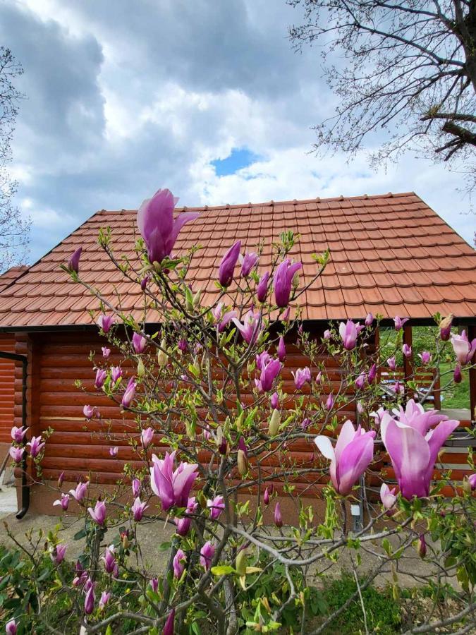 Baberius Villa Kültér fotó
