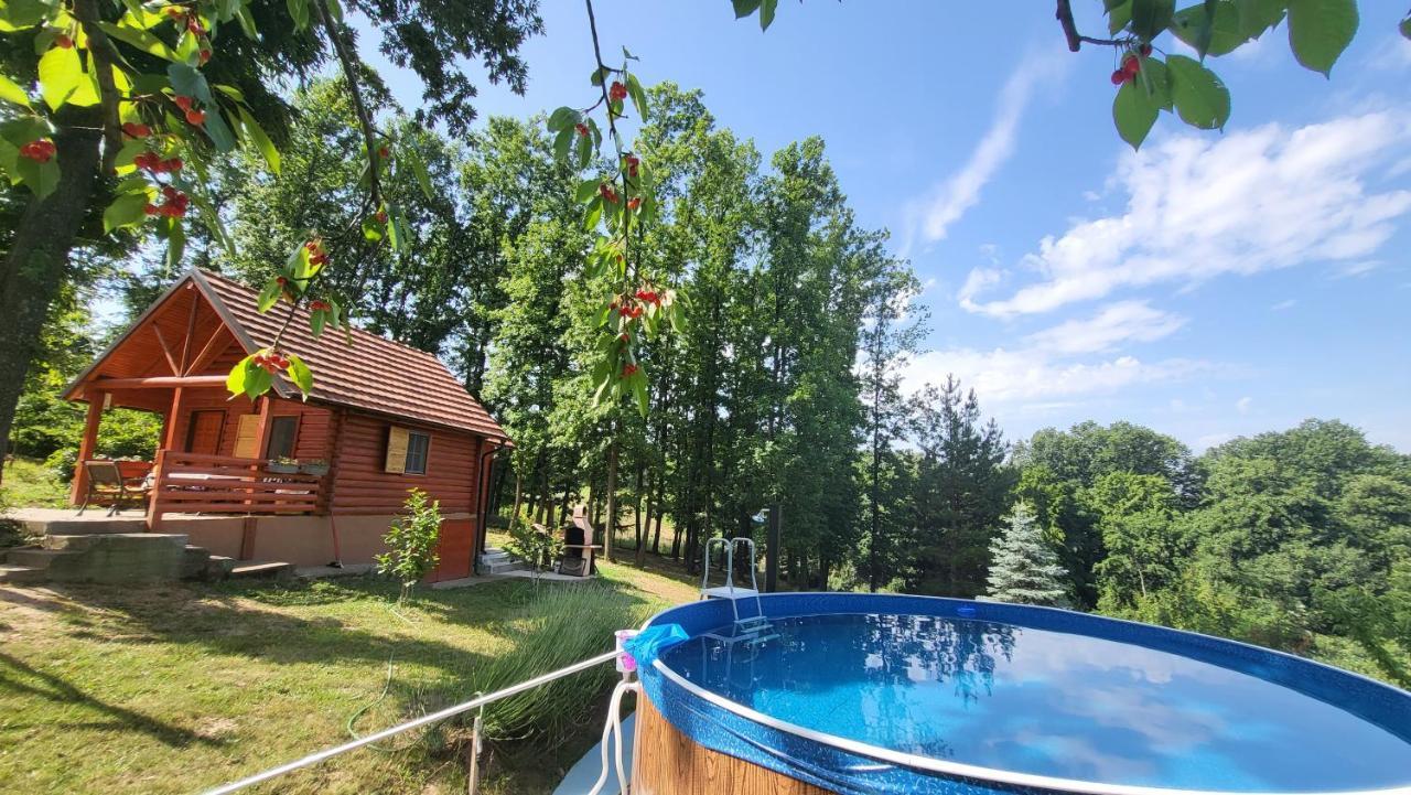 Baberius Villa Kültér fotó