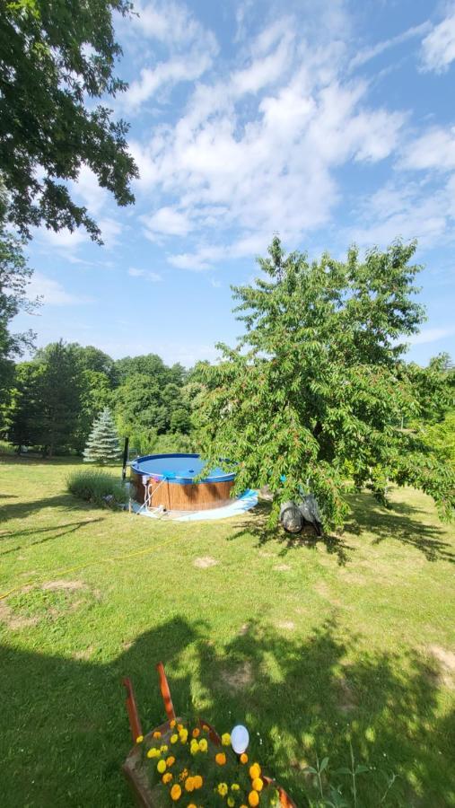 Baberius Villa Kültér fotó